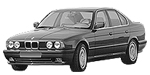 BMW E34 P044F Fault Code